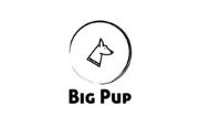 Big Pup Pet Fashion Logo