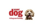 Your Dog Logo