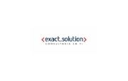 Exact Solution Logo