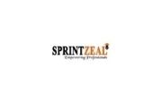 Sprint Zeal Logo