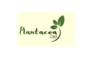 Plantacea CBD Logo