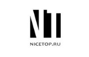 NiceTop RU Logo