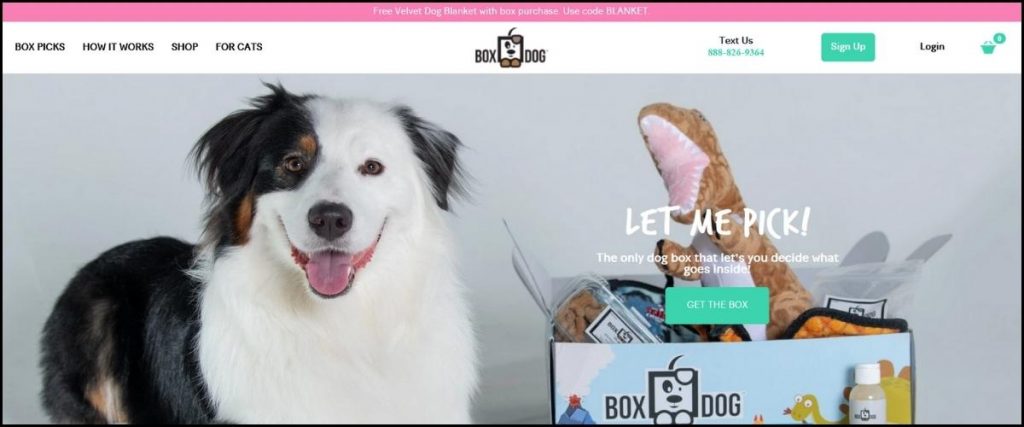 Best Dog Subscription Boxes (9)