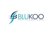 Blukoo Logo
