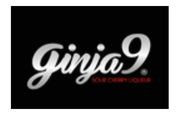 Ginja9 Logo