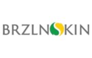 BRZLNSKIN Logo