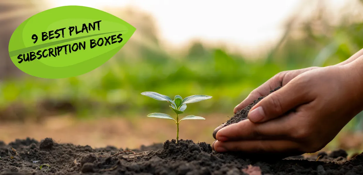 9 Best Plant Subscription Boxes