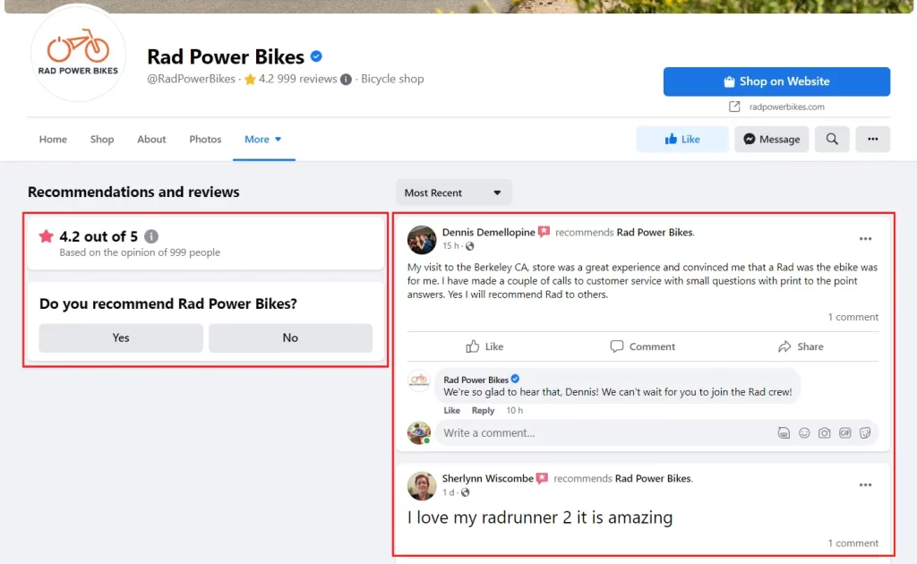 rad power bikes reviews