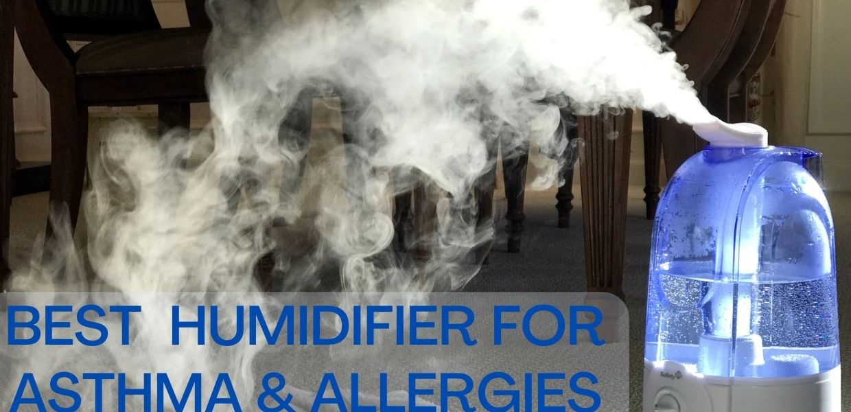 Best Humidifier For Asthma & Allergies