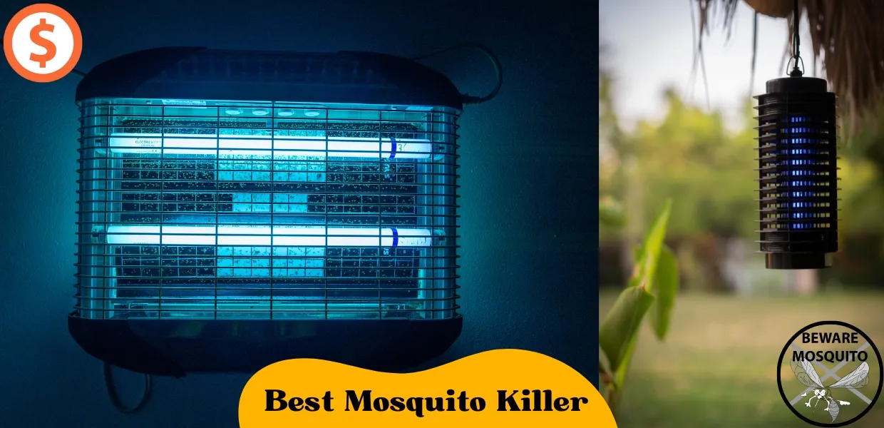 Best-Mosquito-Killer