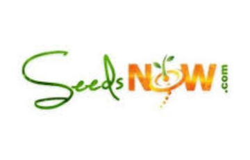 SeedsNow Logo