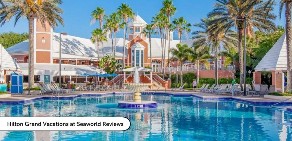 Hilton Grand Vacations at Seaworld Reviews