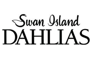 Swan Island Dahlias Logo