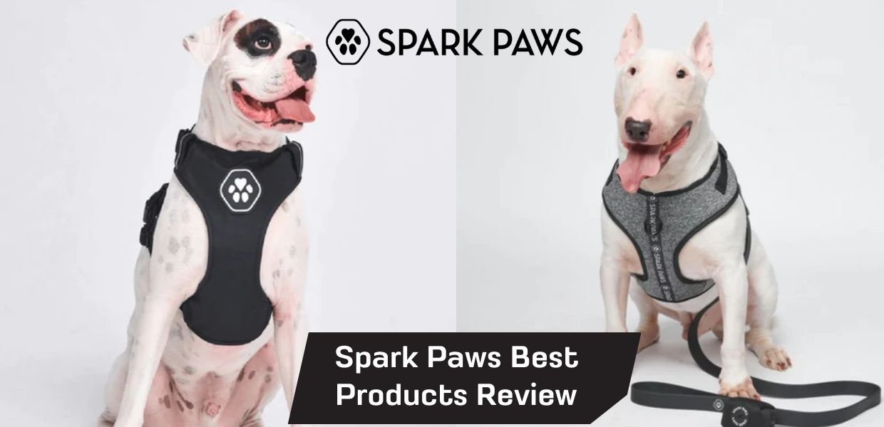 Spark Paws Best Products Review