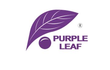 Purple Leaf DE Logo